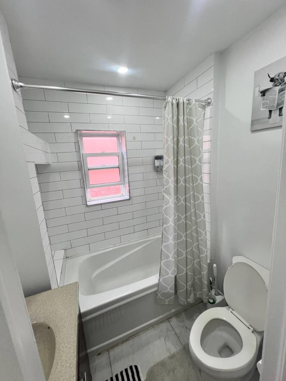 #1 Convvy-Nient Residence! تورونتو المظهر الخارجي الصورة